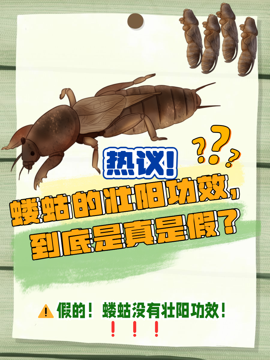 开云娱乐-崬?2顓?勨??嚛谏S??W捥惽?t5\?蛄?[9硑詻i魸晀?牀6(鈥滄柊涓紡鈥濇湇瑁呬负鍟彈杩芥崸)